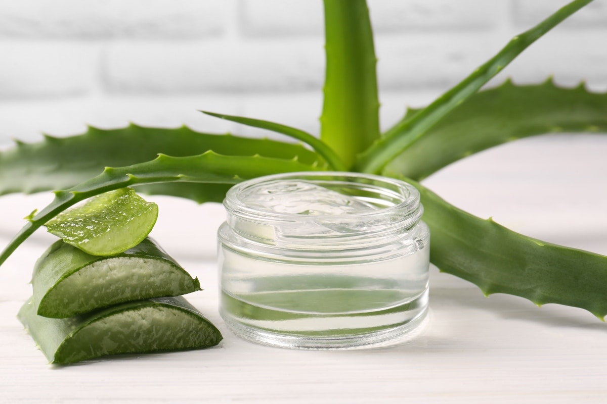 Wie man eine Gesichtscreme mit Aloe Vera zur Kollagenproduktion und Hautpflege herstellt