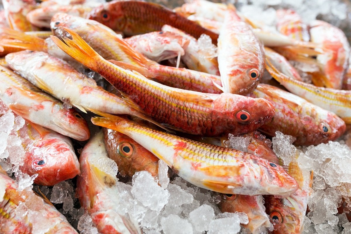 Ernährungswissenschaftler empfehlen diesen Fisch mit gutem Gewissen. Er ist gut für das Herz.