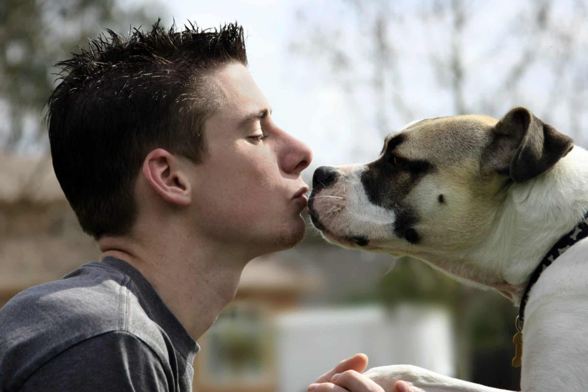 Hund