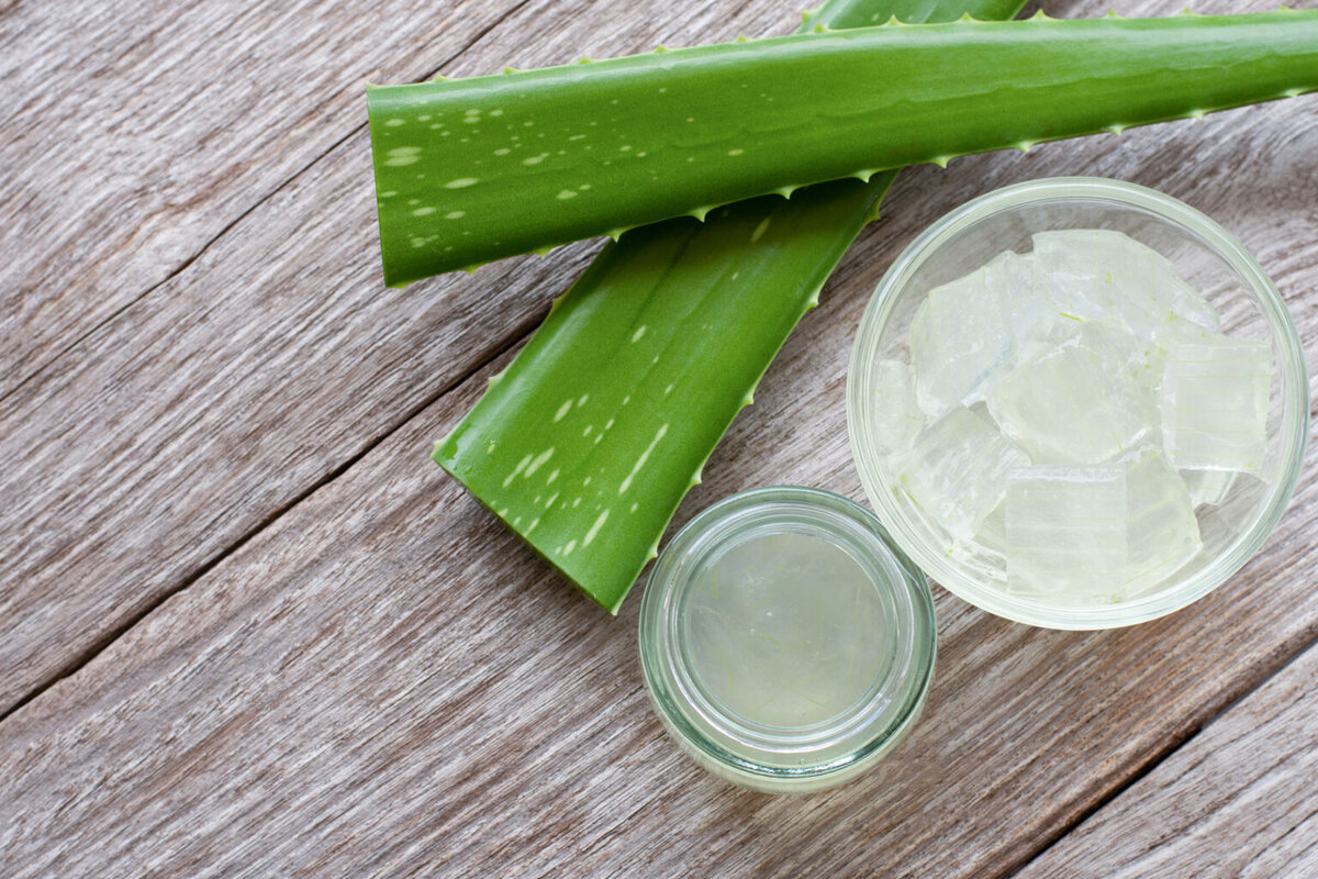 Wie man eine Gesichtscreme mit Aloe Vera zur Kollagenproduktion und Hautpflege herstellt